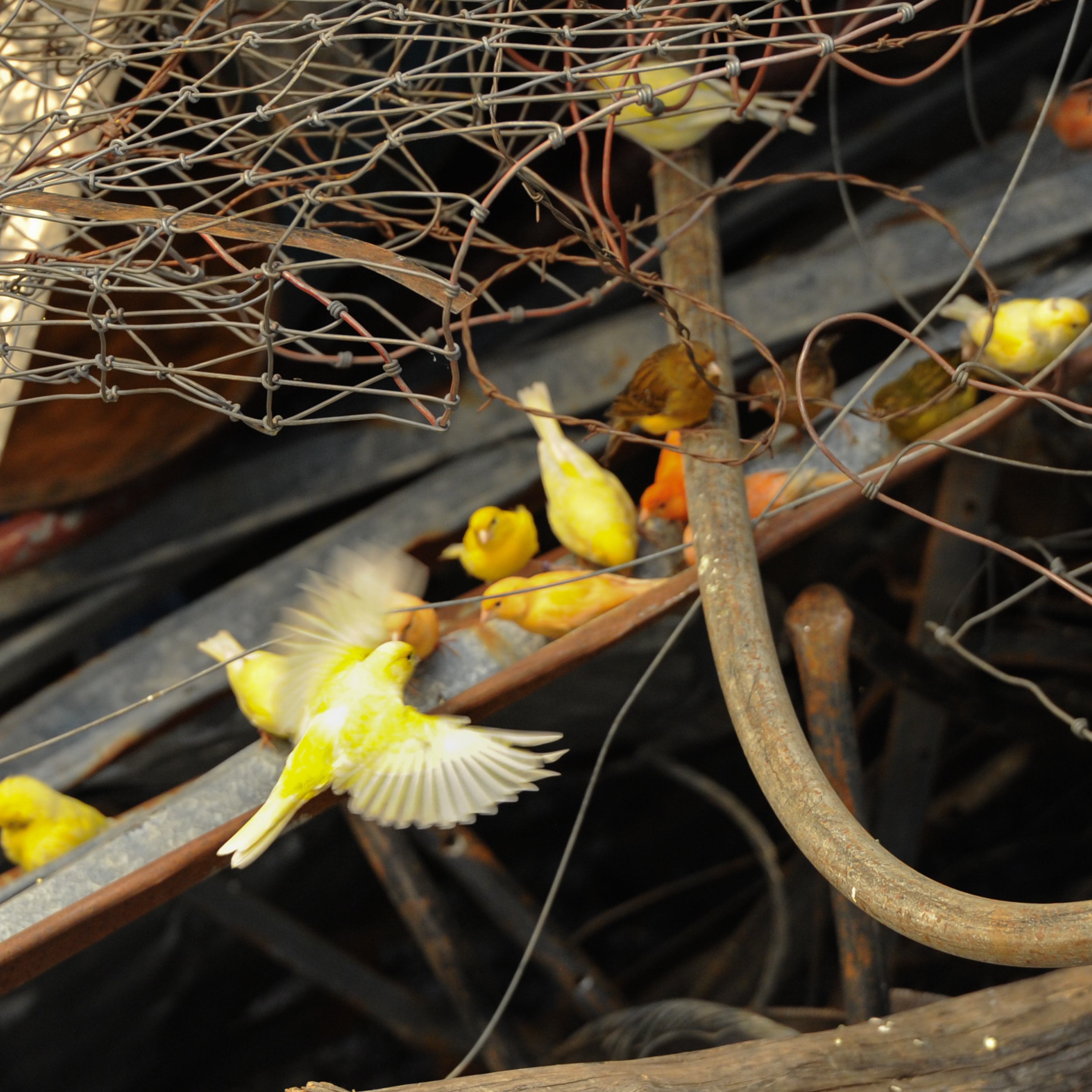 Installation View, Infinite Jest (Detail)