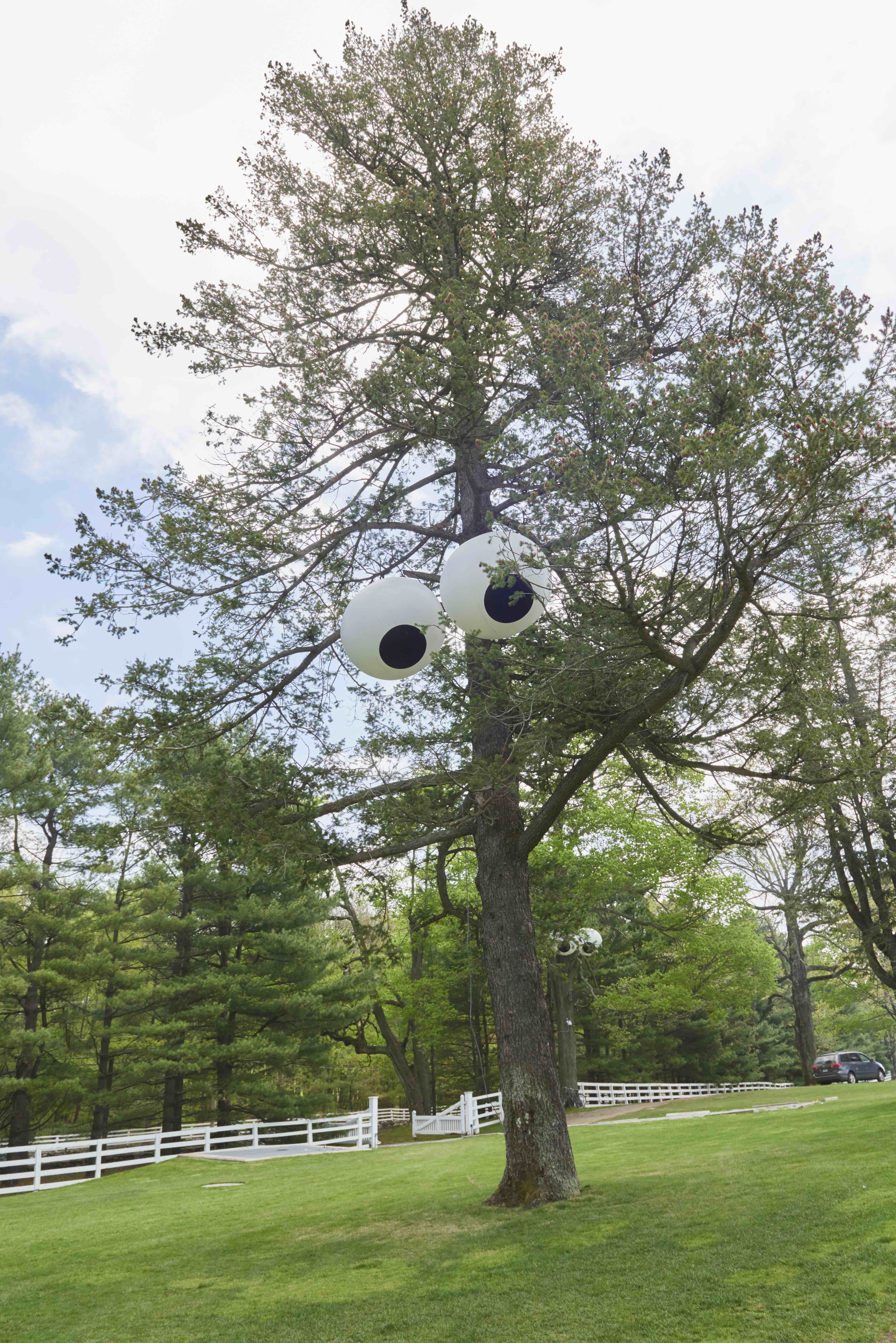 Installation view, Art Idea #13: Put Googly Eyes in Trees, 2015