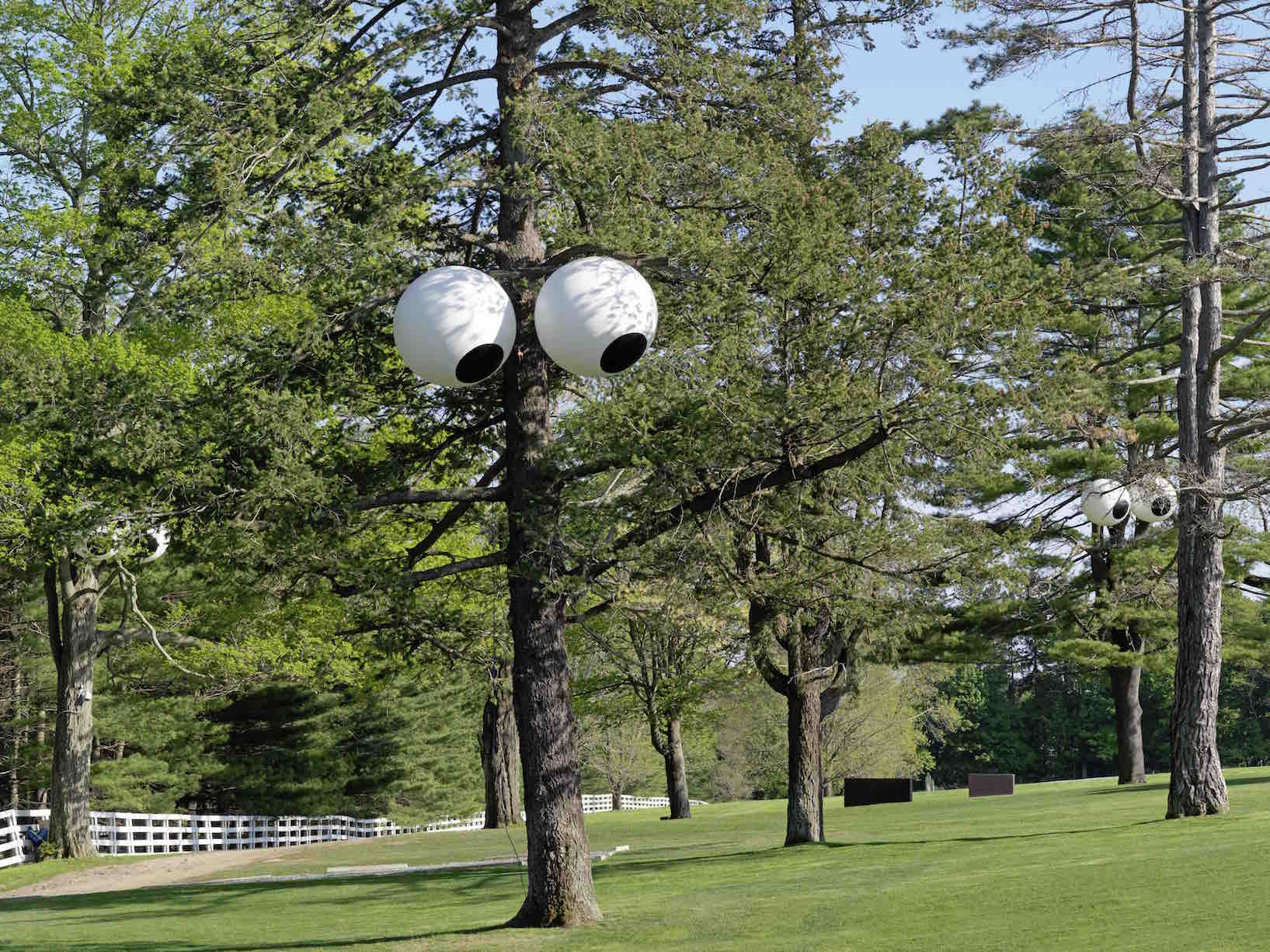 Installation view, Art Idea #13: Put Googly Eyes in Trees, 2015