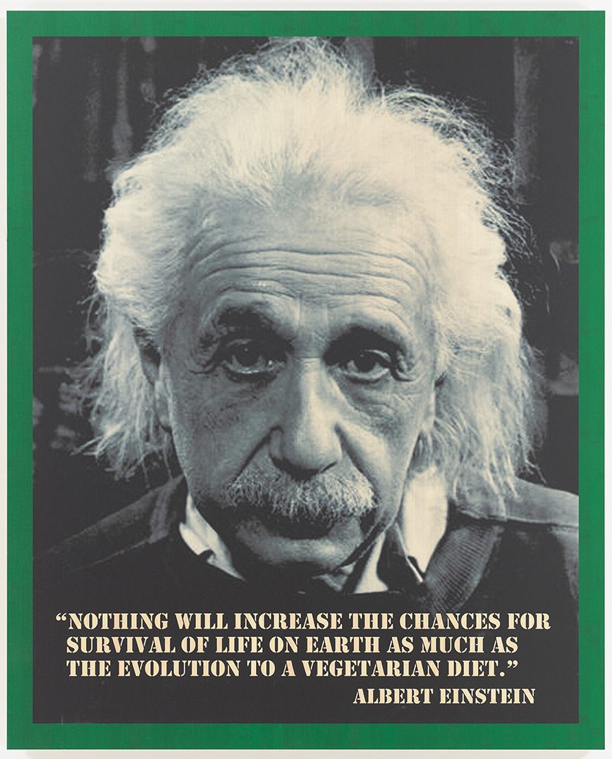Green Einstein, 2002/2012