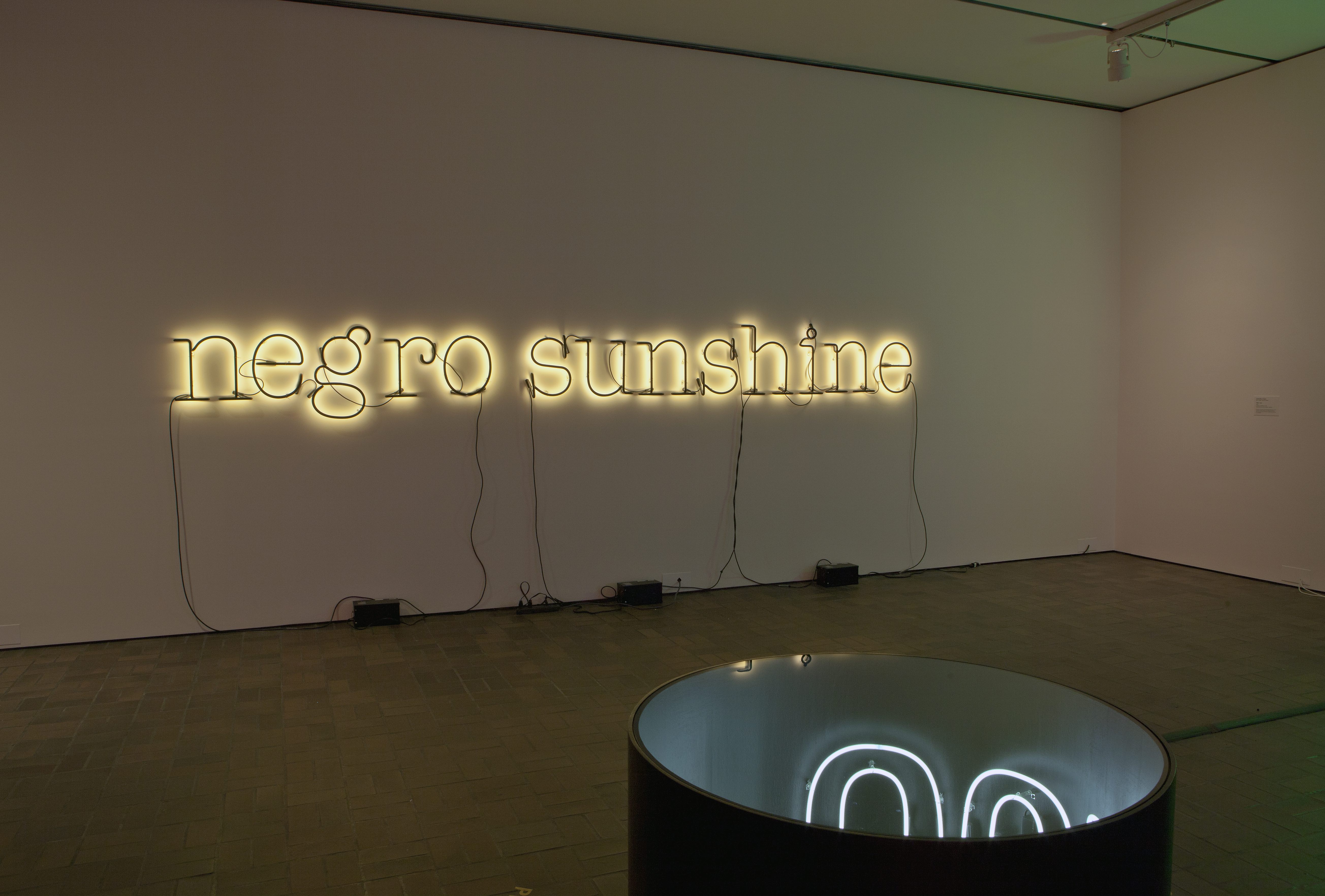 Bending Light at the Neuberger Museum