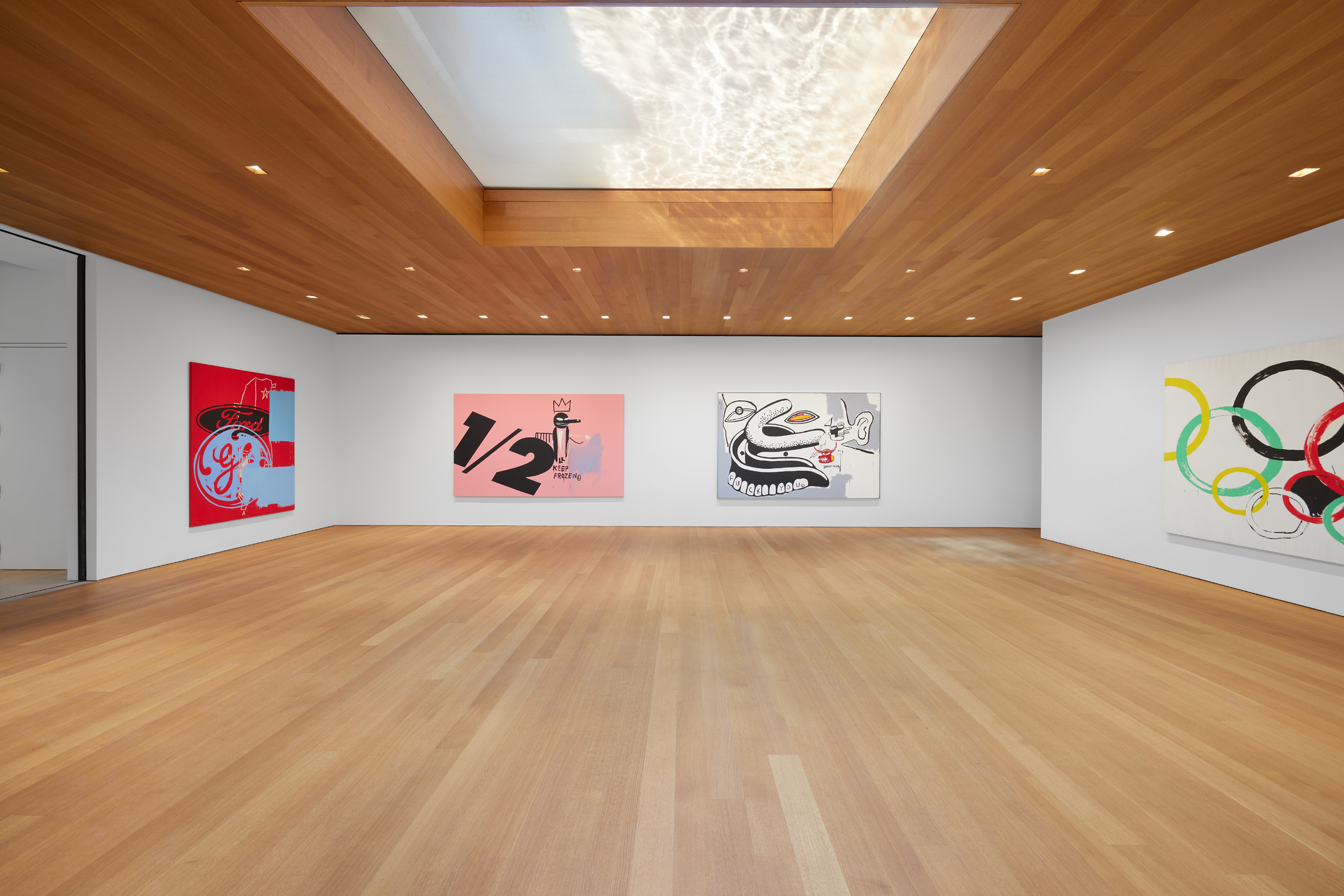 Installation view at The Brant Foundation New York