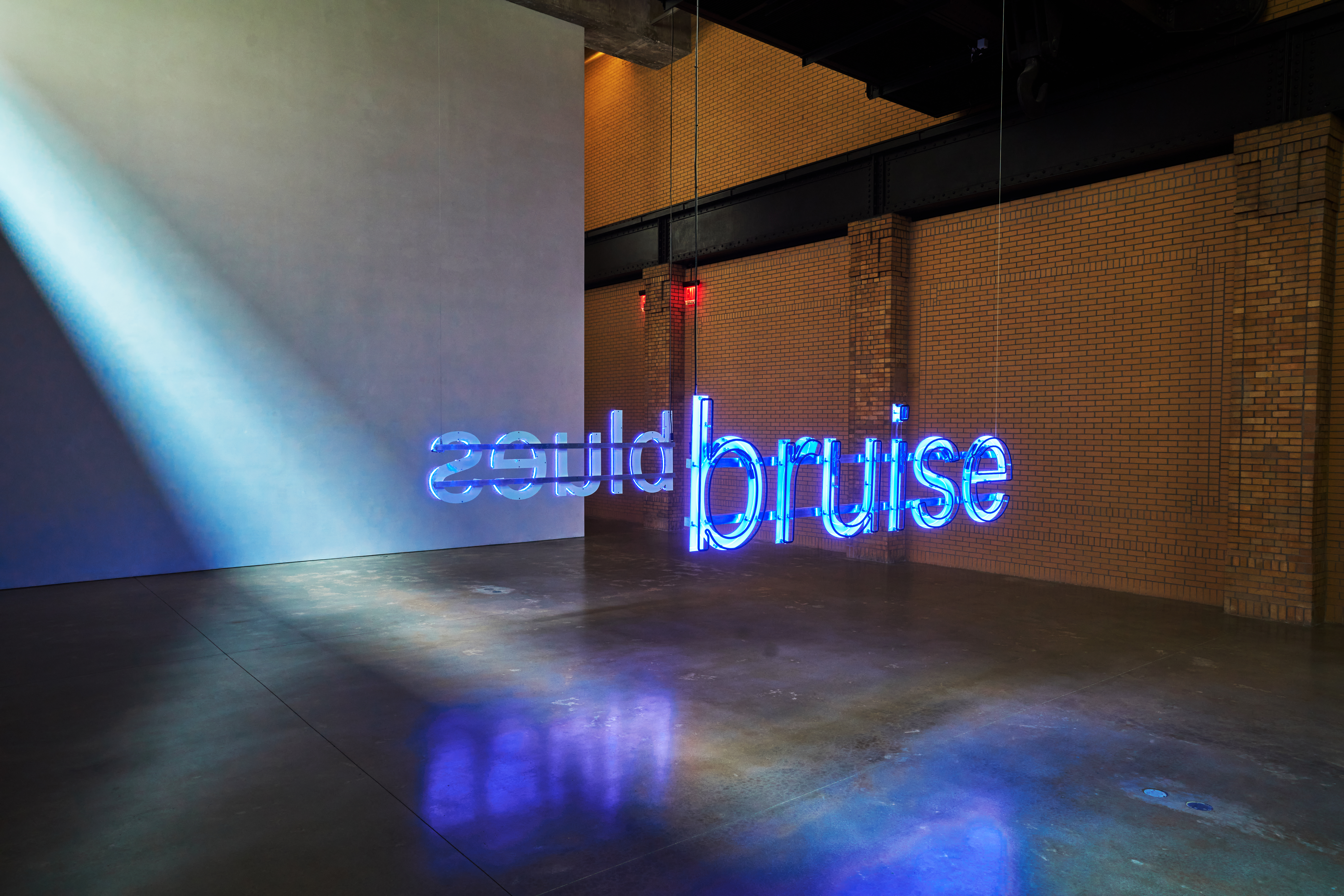 Installation view at The Brant Foundation New York Untitled (Bruise/Blues), 2014 