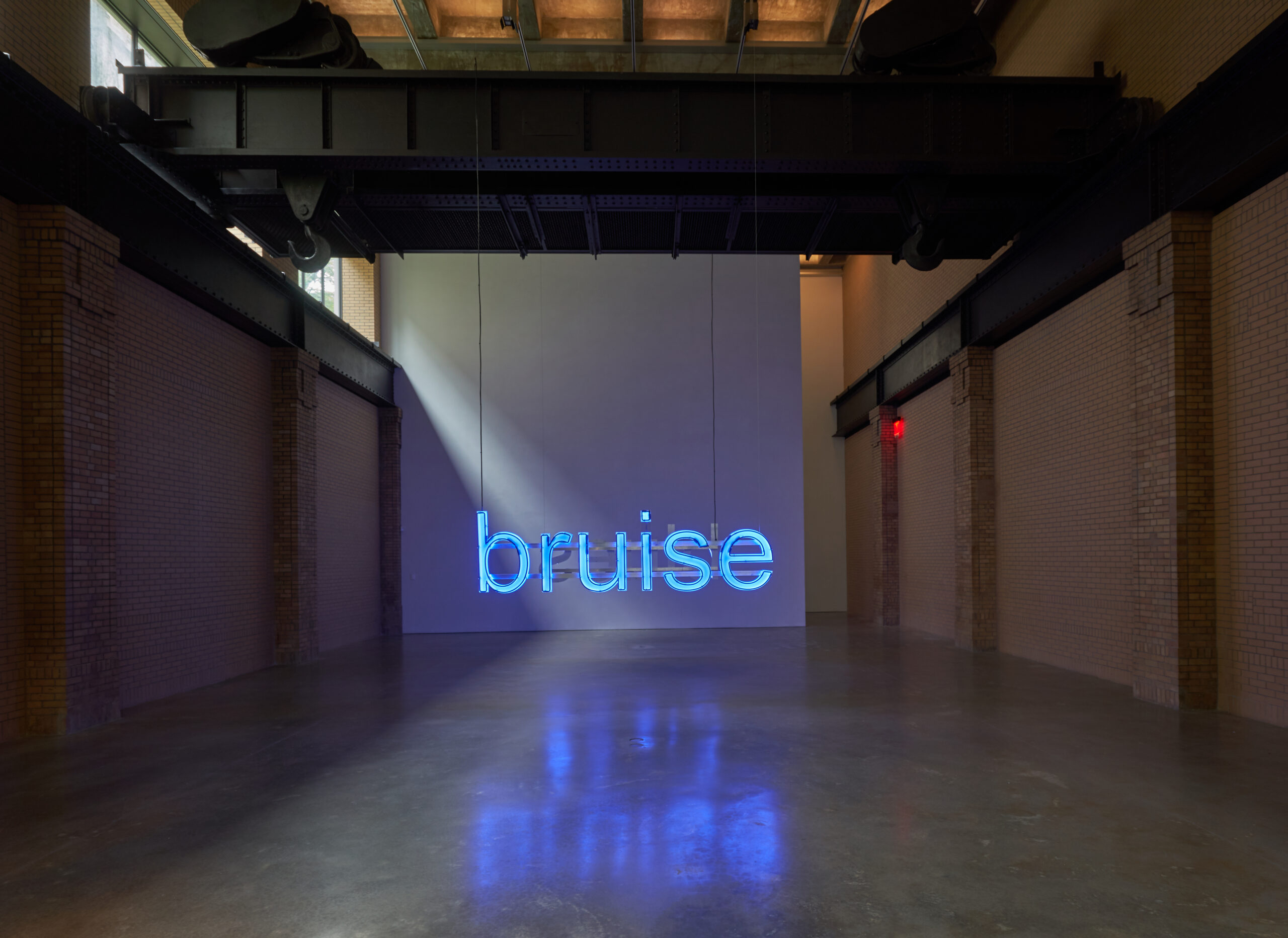 Installation view at The Brant Foundation New York
Untitled (Bruise/Blues), 2014