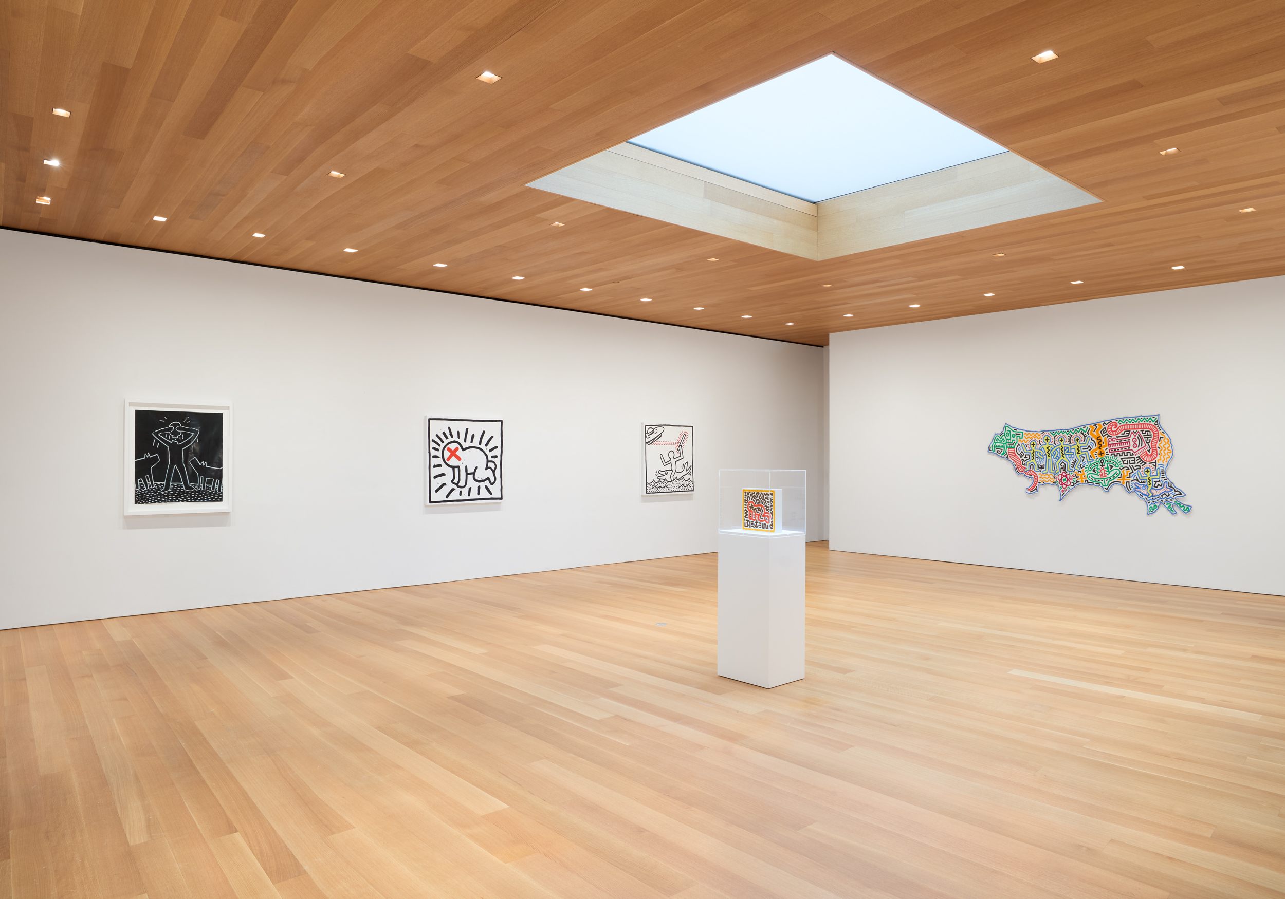 Installation view at The Brant Foundation New York